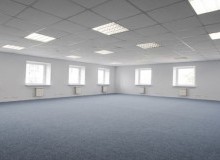 Kwikfynd Skylights
pineclump